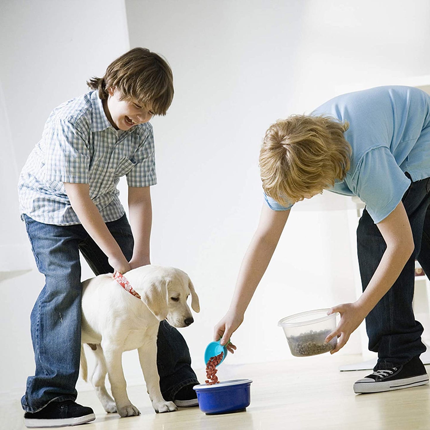 Pet Food Scoop Set of 4 - Plastic Measuring Cups